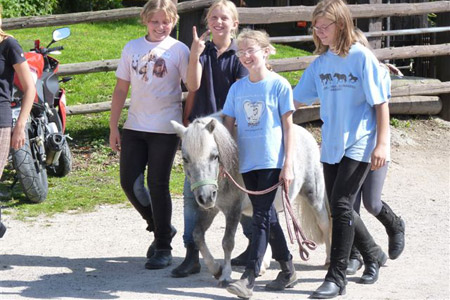 Pferdeparadies Sanspareil & Ponybande Sanspareil