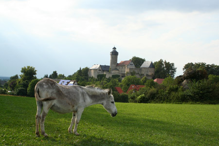 Pferdeparadies Sanspareil