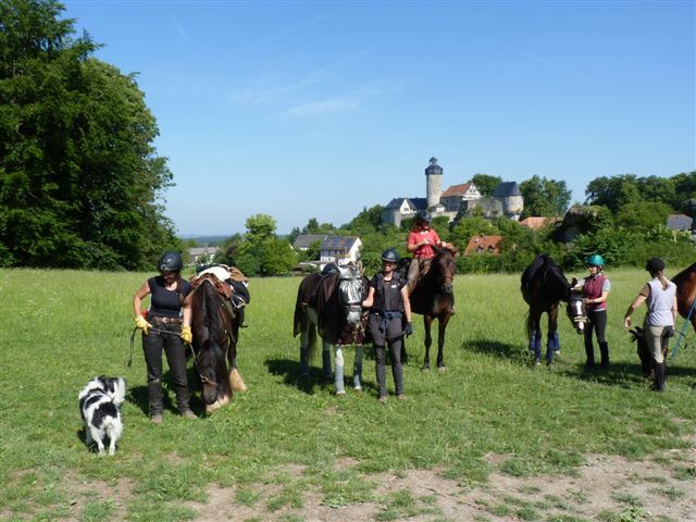 Pferdeparadies Sanspareil & Ponybande Sanspareil