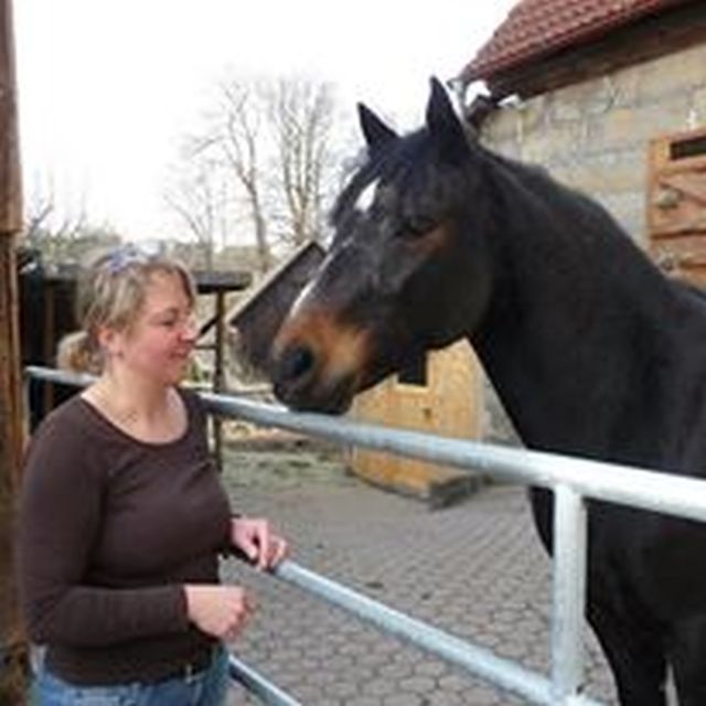 Pferdeparadies Sanspareil & Ponybande Sanspareil