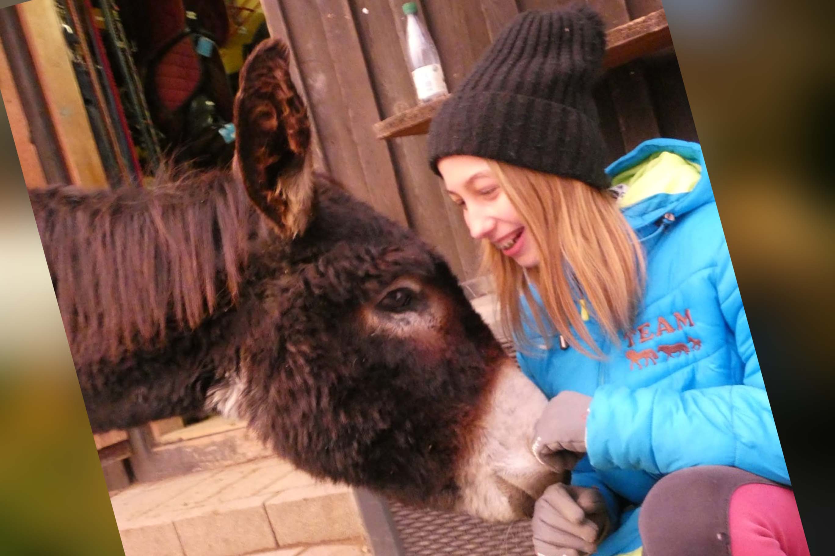 Pferdeparadies Sanspareil