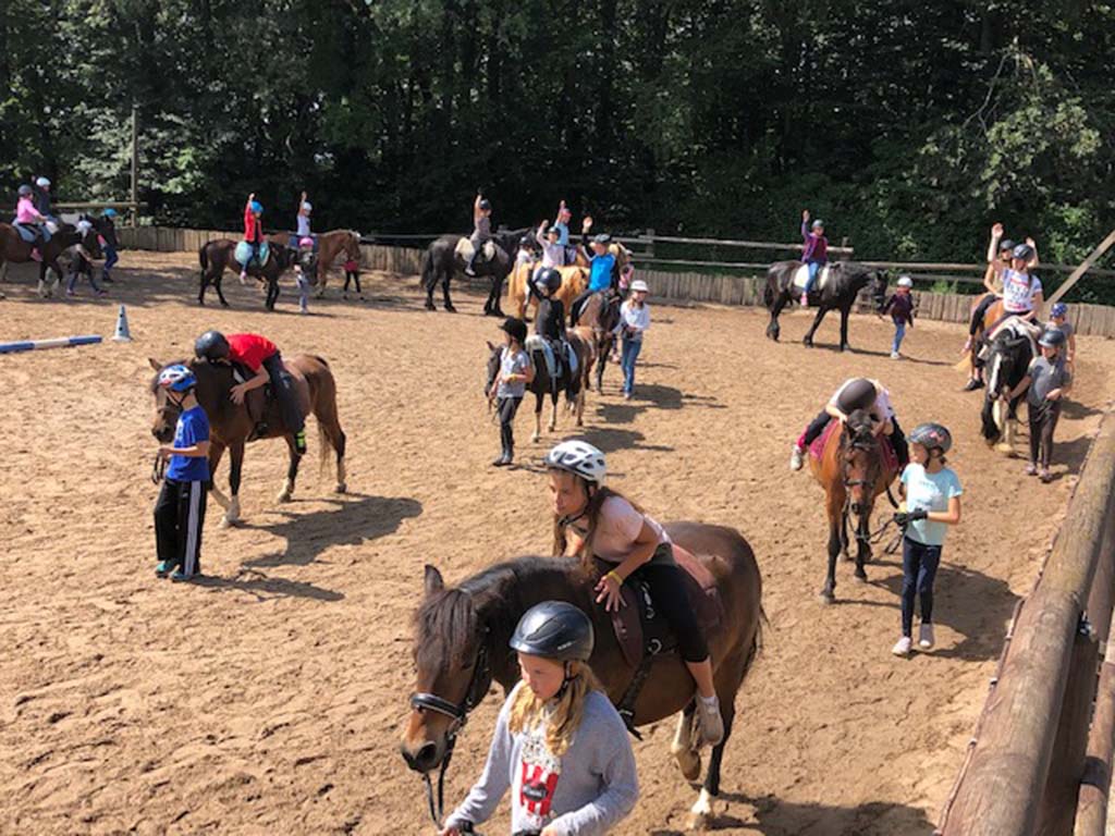 Pferdeparadies Sanspareil