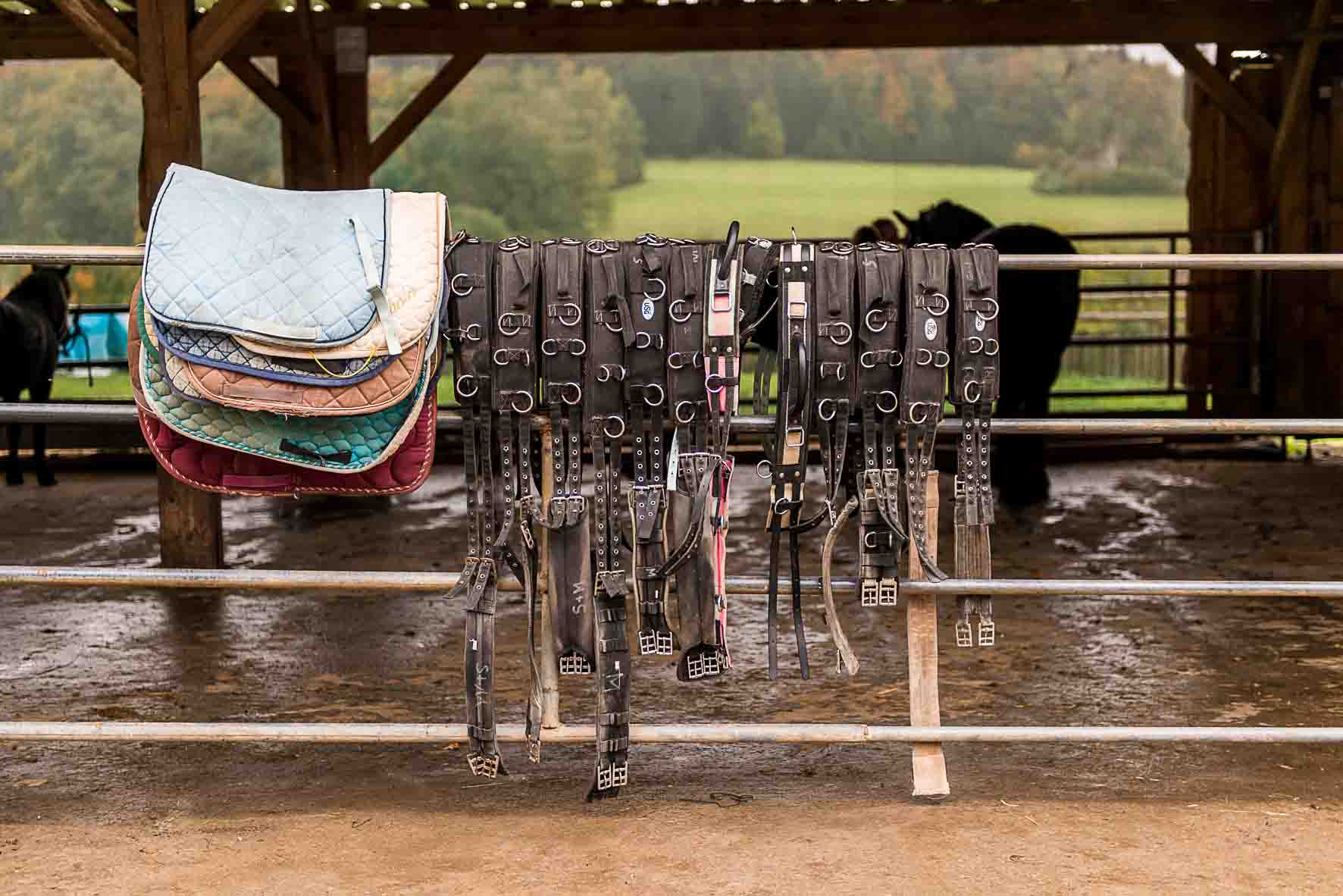 Pferdeparadies Sanspareil