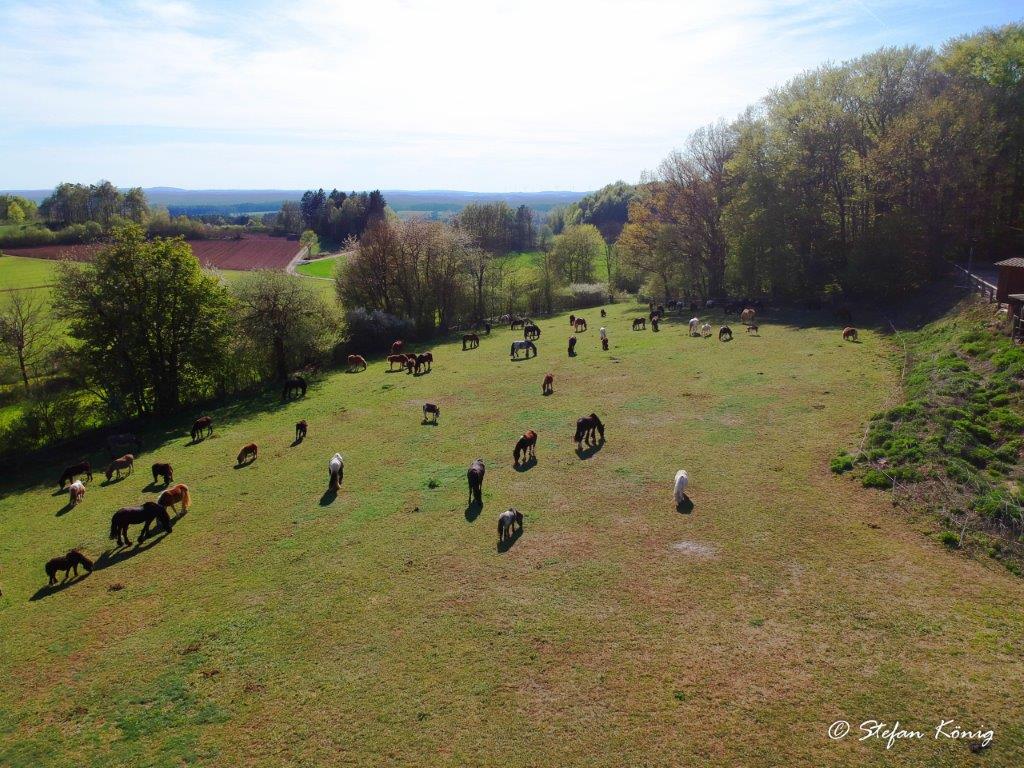 Pferdeparadies Sanspareil