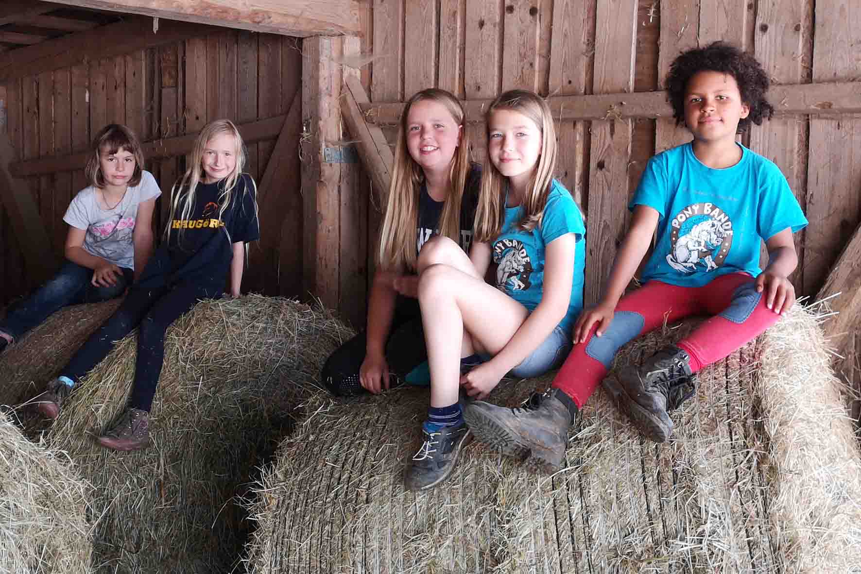 Pferdeparadies Sanspareil