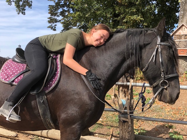 Pferdeparadies Sanspareil