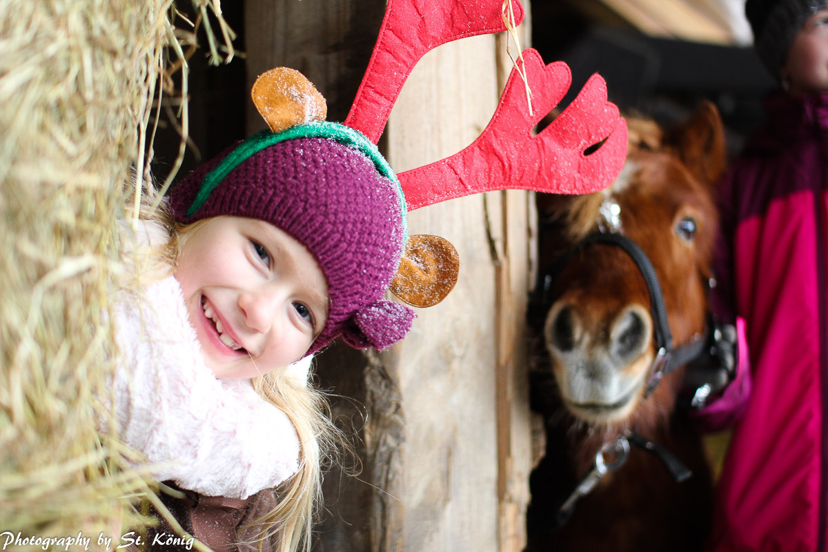 Pferdeparadies Sanspareil