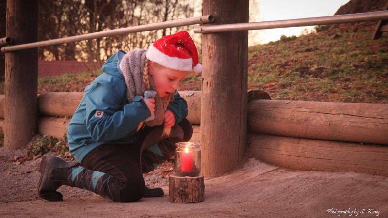 Pferdeparadies Sanspareil