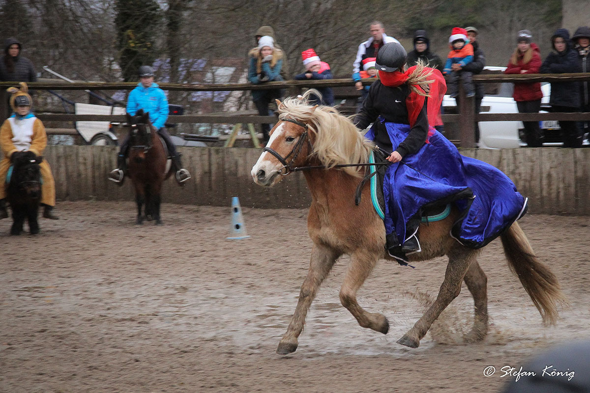 Pferdeparadies Sanspareil