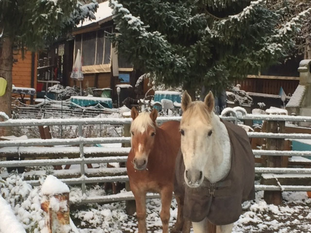 Pferdeparadies Sanspareil