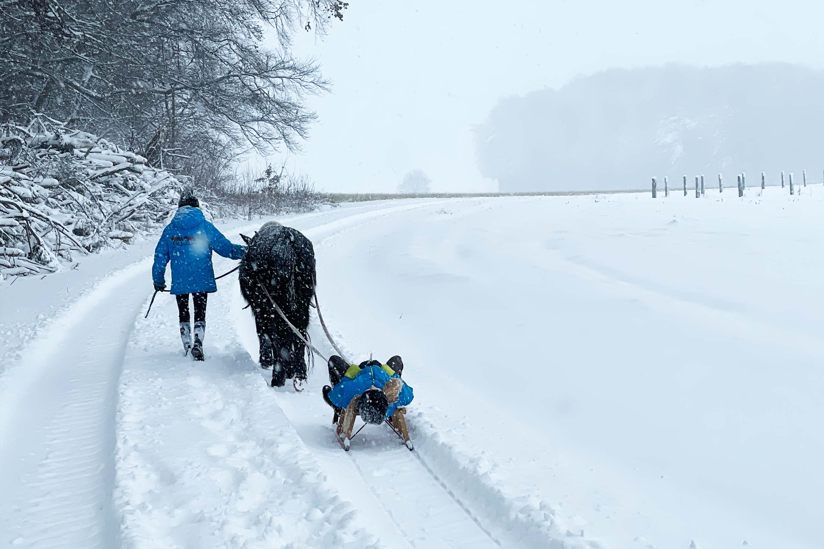 Pferdeparadies Sanspareil