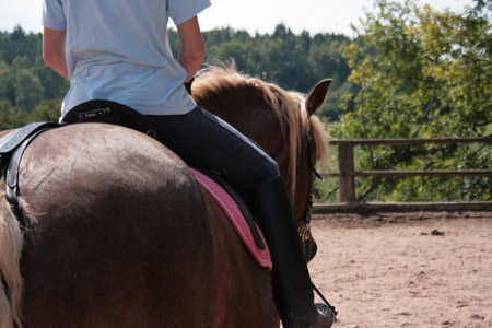 Pferdeparadies Sanspareil & Ponybande Sanspareil