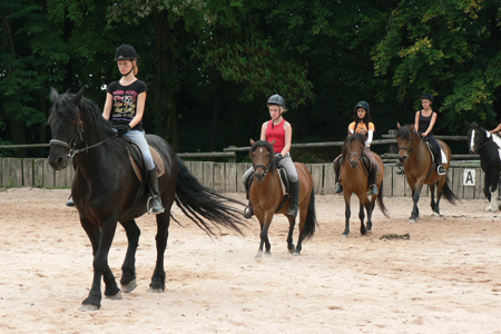 Pferdeparadies Sanspareil & Ponybande Sanspareil