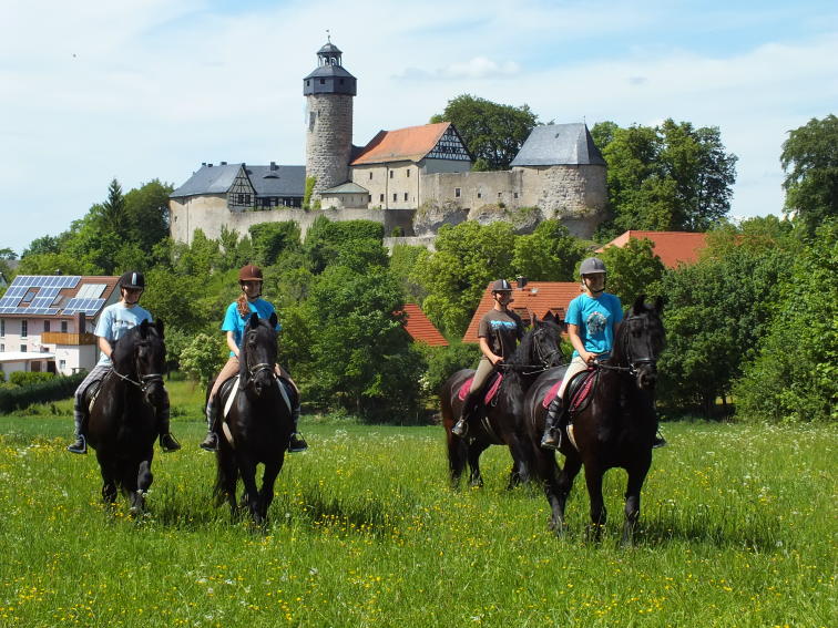 Pferdeparadies Sanspareil & Ponybande Sanspareil