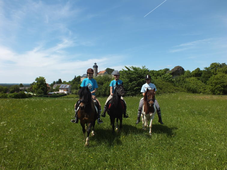 Pferdeparadies Sanspareil & Ponybande Sanspareil