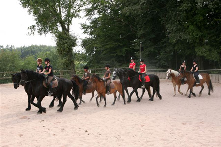 Pferdeparadies Sanspareil & Ponybande Sanspareil