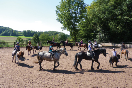 Pferdeparadies Sanspareil & Ponybande Sanspareil