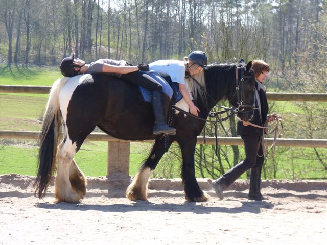 Pferdeparadies Sanspareil & Ponybande Sanspareil