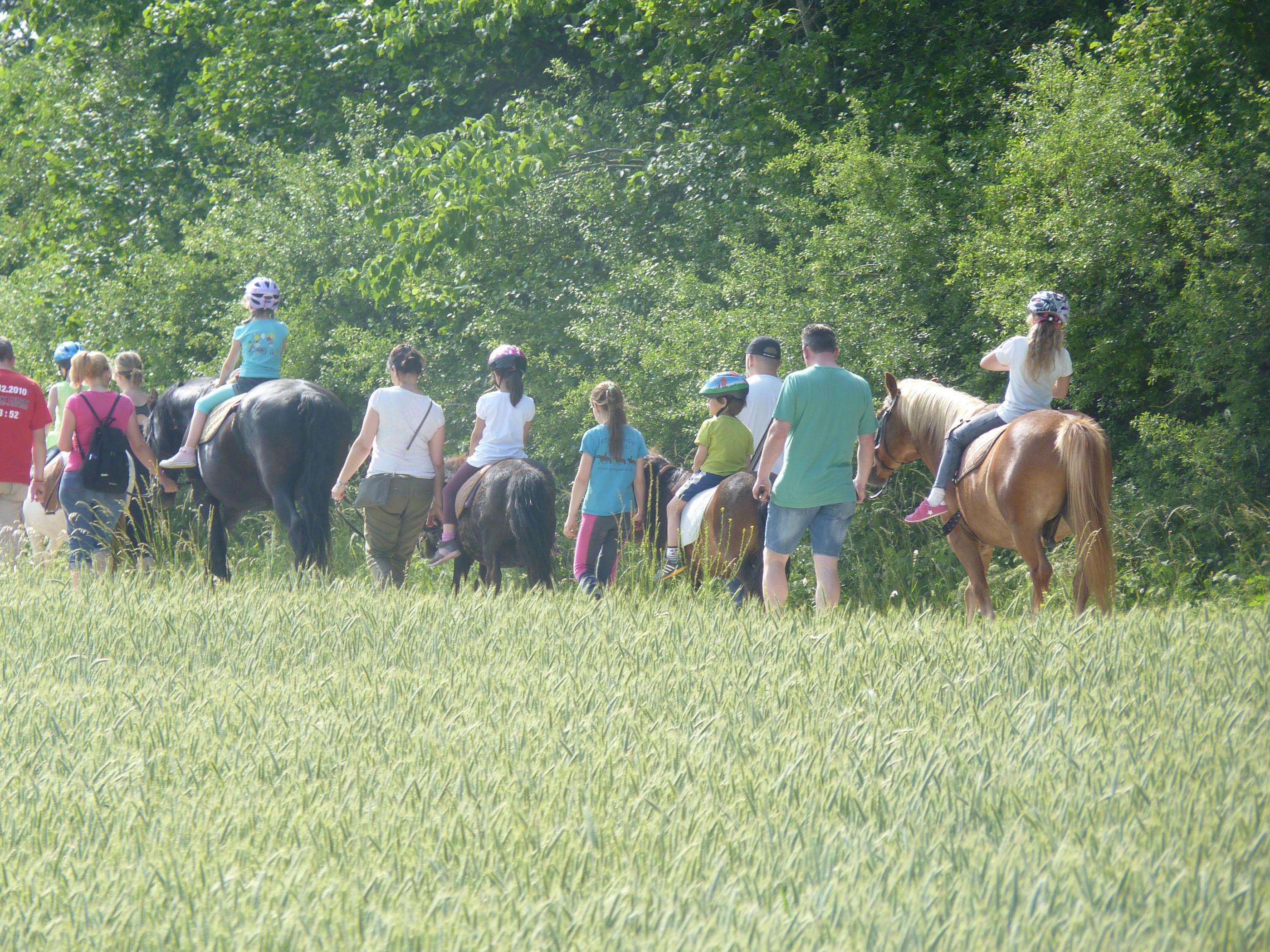 Pferdeparadies Sanspareil & Ponybande Sanspareil