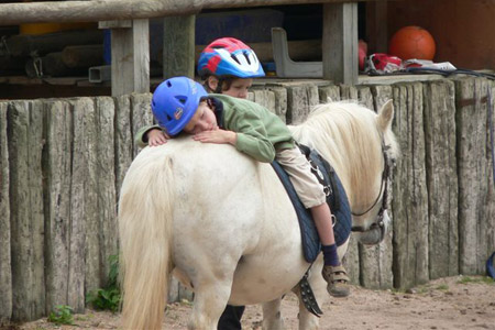 Pferdeparadies Sanspareil & Ponybande Sanspareil