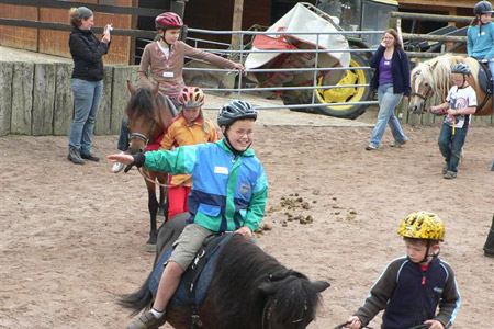 Pferdeparadies Sanspareil & Ponybande Sanspareil