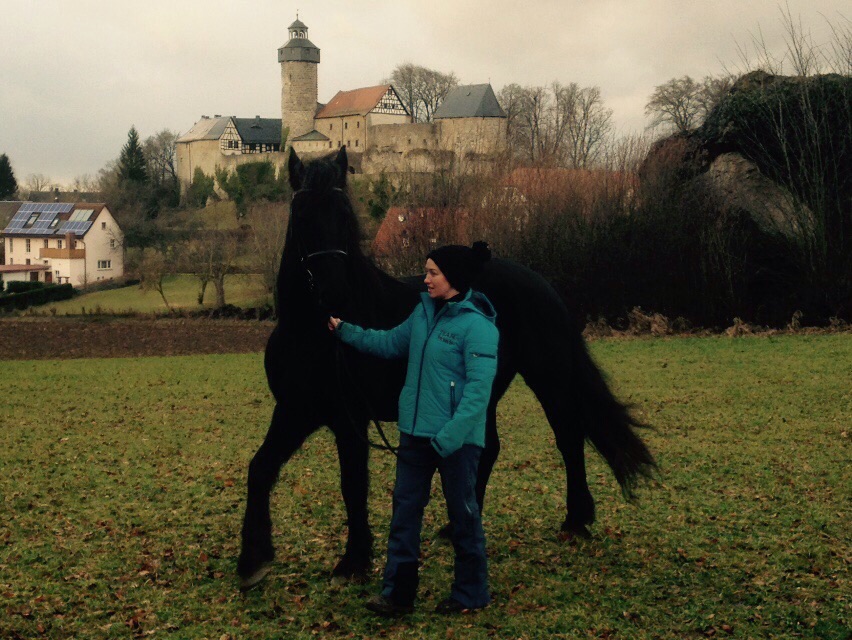 Pferdeparadies Sanspareil & Ponybande Sanspareil